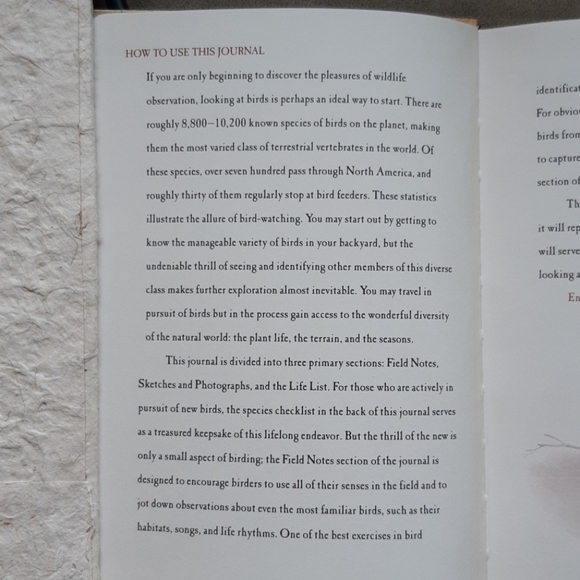 Bird Keychain & Book - Picture 4 of 6